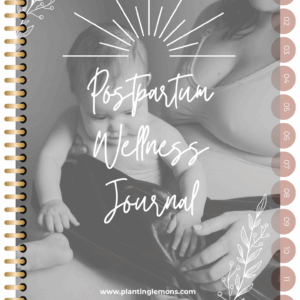 Postpartum Wellness Journal